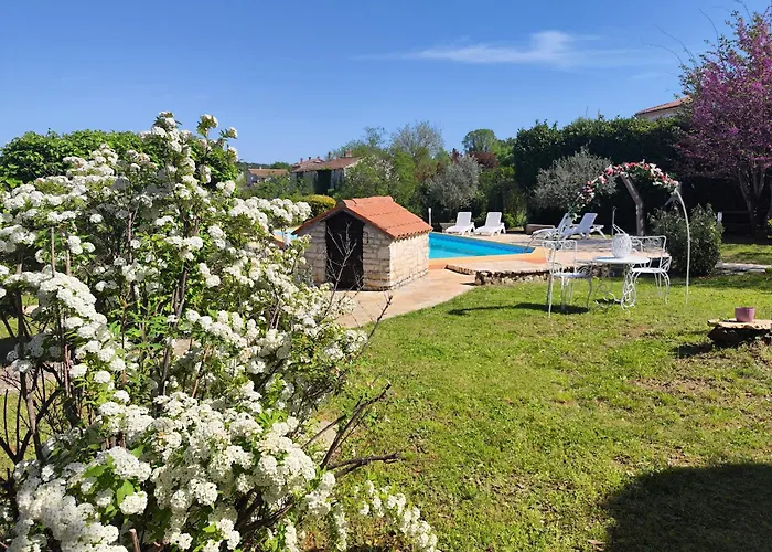 Poolside Compact Family Lea